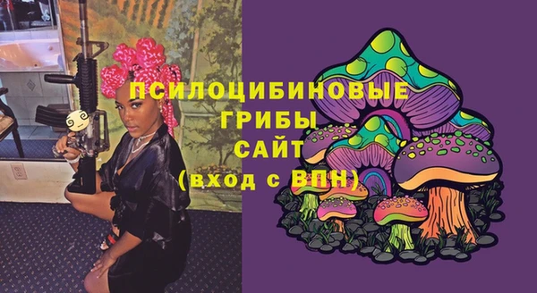 ГАЛЛЮЦИНОГЕННЫЕ ГРИБЫ Баксан