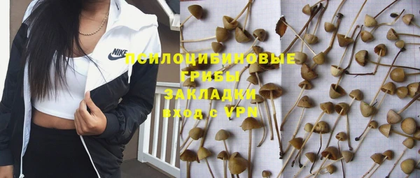 дживик Балахна