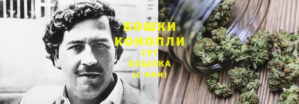 индика Семёнов