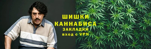 ГАЛЛЮЦИНОГЕННЫЕ ГРИБЫ Баксан