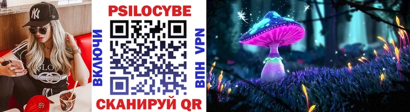 Галлюциногенные грибы Psilocybine cubensis  продажа наркотиков  Афипский 